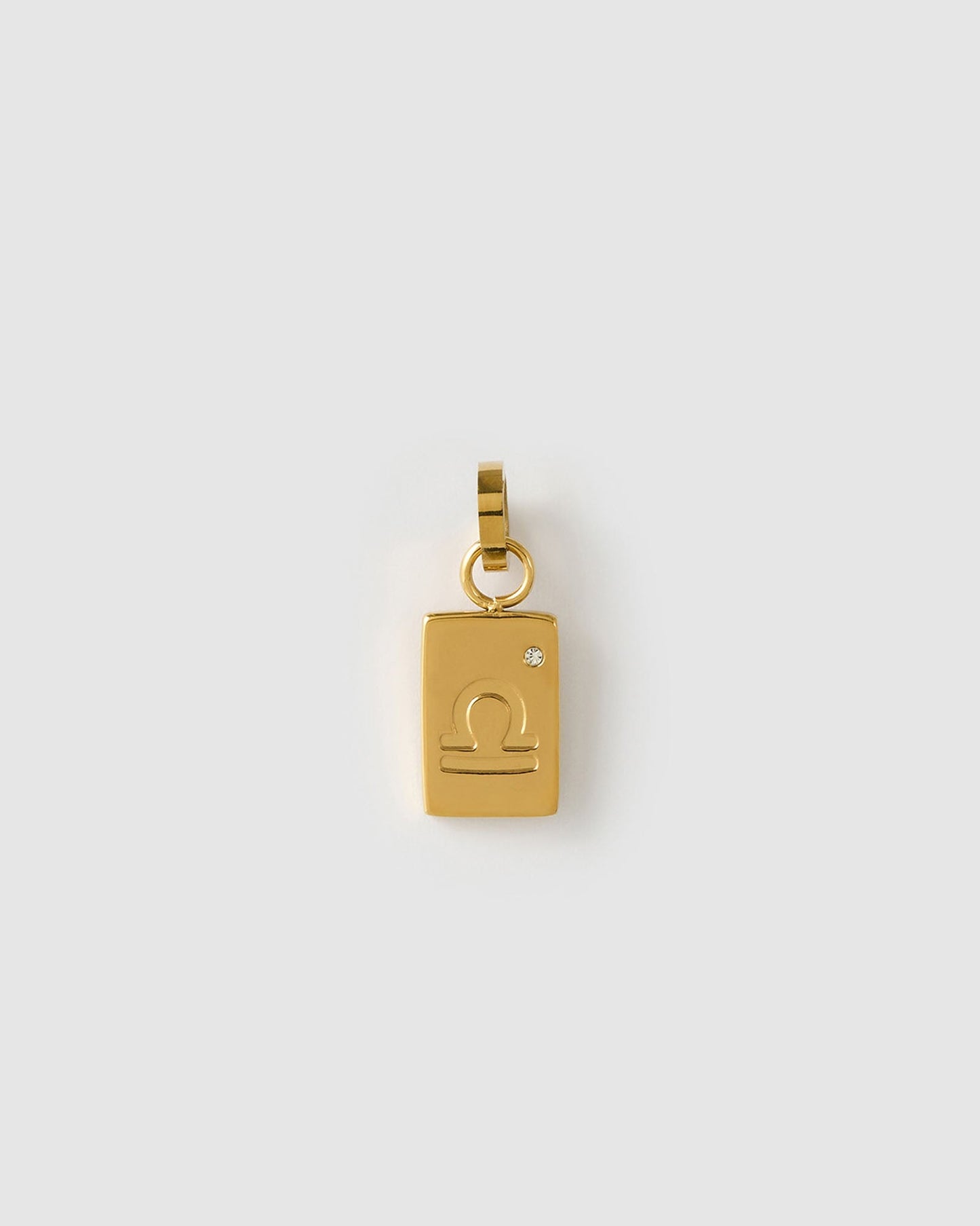 Zodiac Tag Charm