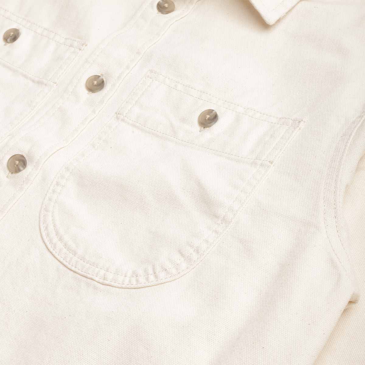 Patagonia Point Reyes Canvas Shirt