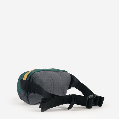 Patagonia Terravia Mini Hip Pack 1L