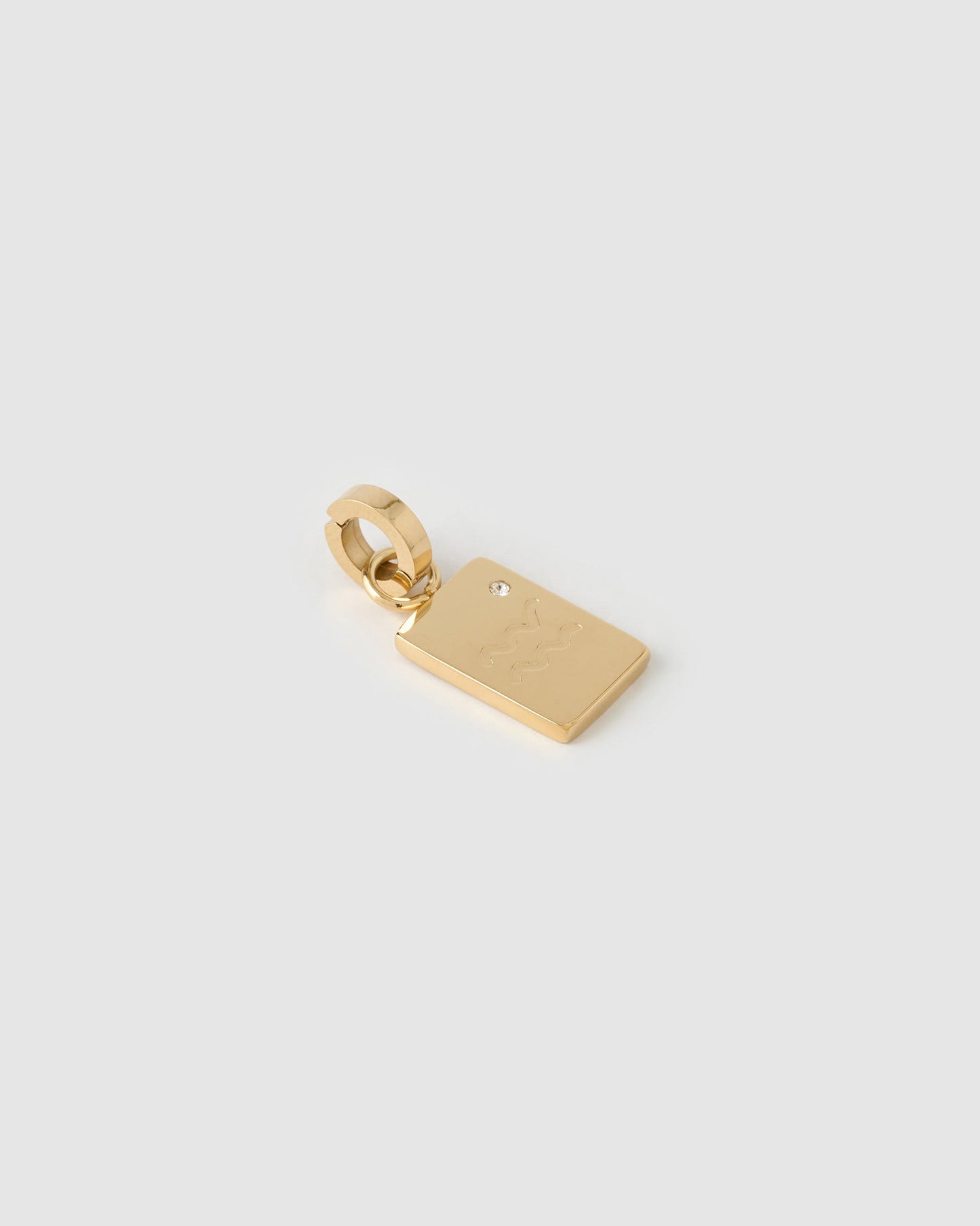 Zodiac Tag Charm